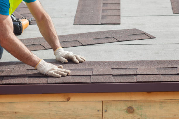 Steel Roofing in Homewood, IL